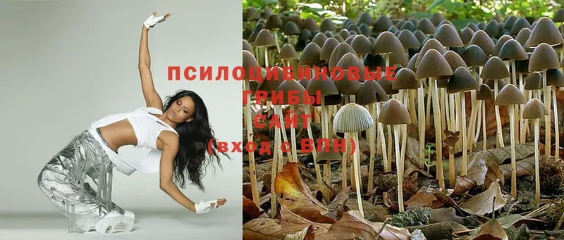 Галлюциногенные грибы Magic Shrooms Гуково